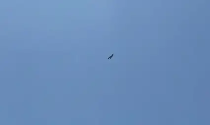 Adıyaman'da F16 savaş uçağı nefes kesti
