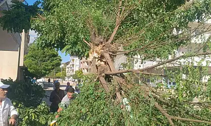 Adıyaman Gölbaşı'nda fırtına etkili oldu