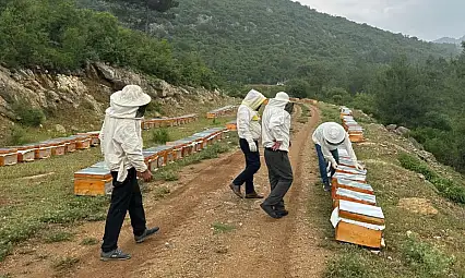 Adıyamanlı arıcılar, 2025 yılı bal fiyatlarını açıkladı