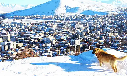 Afşin'de kar sonrası manzara hayran bıraktı