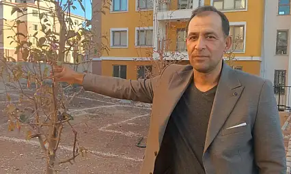 Geçen yıl kuruyan ağaçlar kasım ayında çiçek açtı