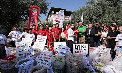 Lösemili çocuklar için zeytin hasadı