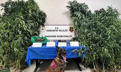 Osmaniye'de 1 haftada 105 şüpheli yakalandı