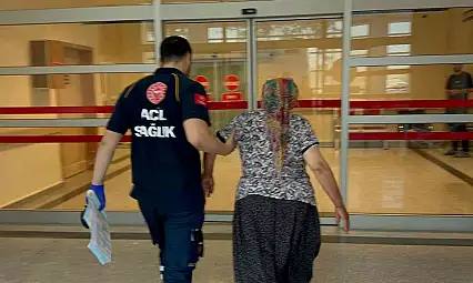 Yılanın ısırdığı kadın hastaneye kaldırıldı