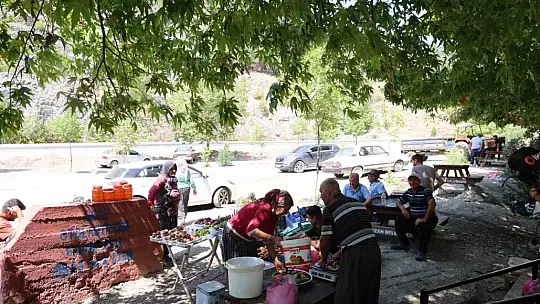 45 yıllık çınarı yazı tahtasına çevirdiler: Vatandaş çuvalla koruma altına aldı