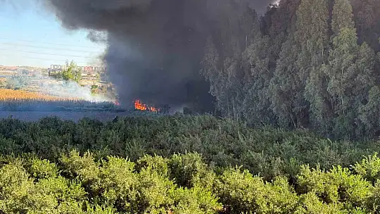 Adana'da geri dönüşüm fabrikasında yangın çıktı
