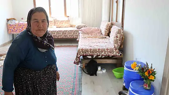 Adana'da orman yangınıyla küle dönen 4 bin hektarda fidanlar tekrar büyüdü