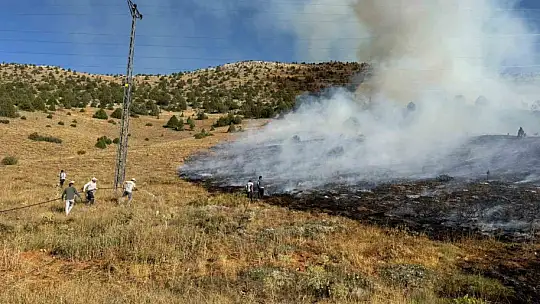 Adana Tufanbeyli'de orman yangını
