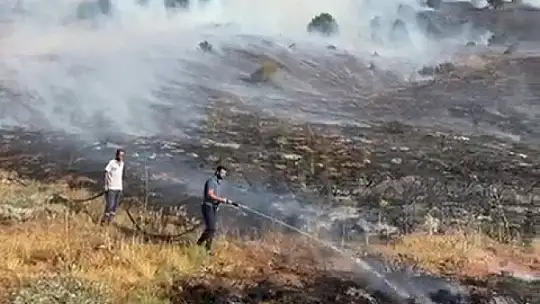 Adana Tufanbeyli'de orman yangını