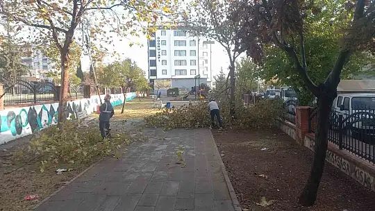 Adıyaman Belediyesinden kapsamlı ağaç budaması