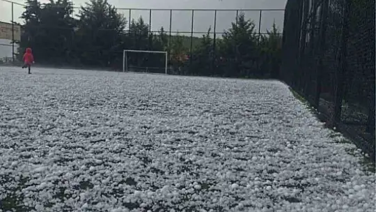 Adıyaman'da ceviz büyüklüğündeki dolu yağışı badem bahçelerine zarar verdi