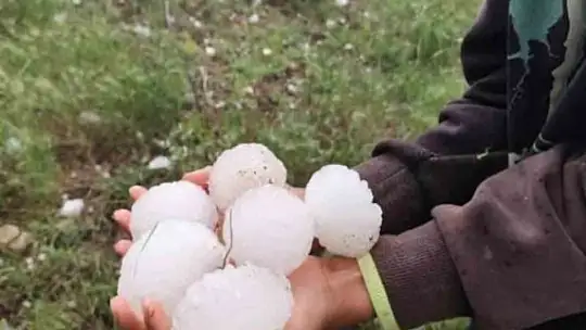 Adıyaman'da ceviz büyüklüğündeki dolu yağışı badem bahçelerine zarar verdi