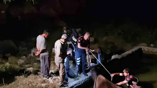 Adıyaman'da havuza düşen inek kurtarıldı