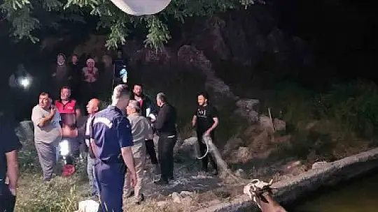 Adıyaman'da havuza düşen inek kurtarıldı