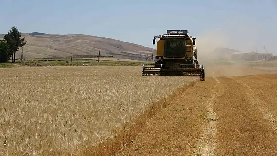 Adıyaman'da hububat hasadı arpa ile başladı