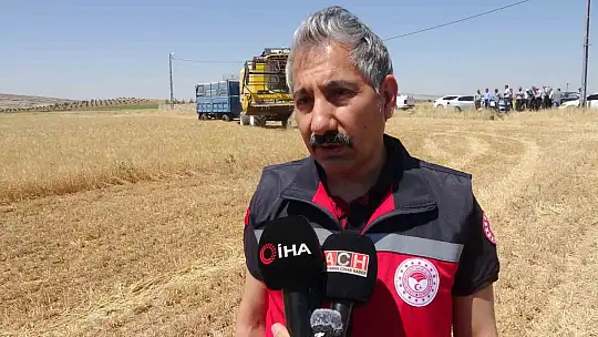 Adıyaman'da hububat hasadı arpa ile başladı