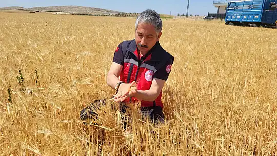 Adıyaman'da hububat hasadı arpa ile başladı