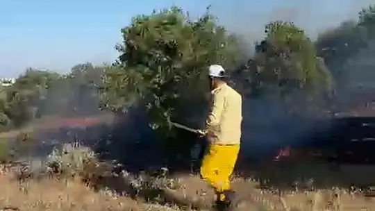 Adıyaman'da orman yangını korkuttu