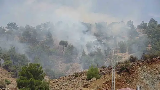 Adıyaman'da orman yangınına helikopterle müdahale edildi