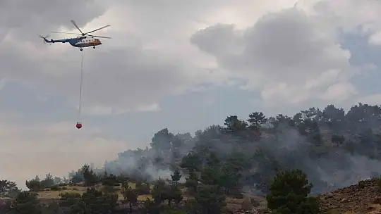 Adıyaman'da orman yangınına helikopterle müdahale edildi