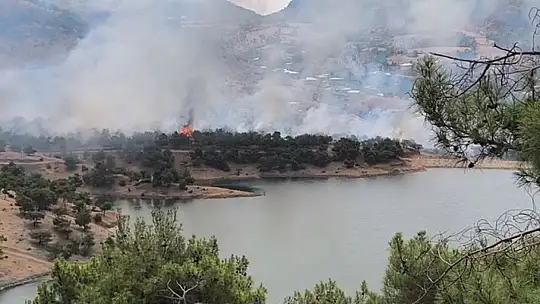 Adıyaman'da ormanlık alanda yangın