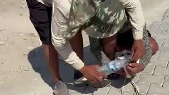 Adıyaman'da sıcaktan bayılan leyleği köylüler kurtardı