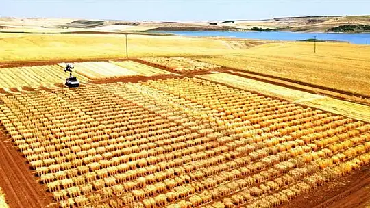 Adıyaman'da tohumculuk sektörü güçleniyor