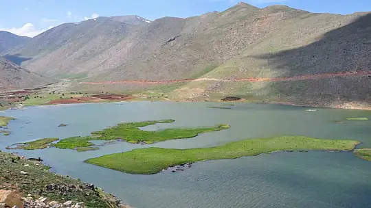Adıyaman'da yüzen adaların kurtarılması için çalışma başlatıldı