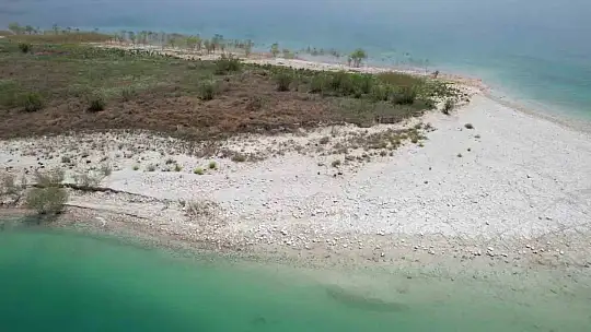 Adıyaman'daki Martı Adası'nda kuluçka dönemi yaşanıyor
