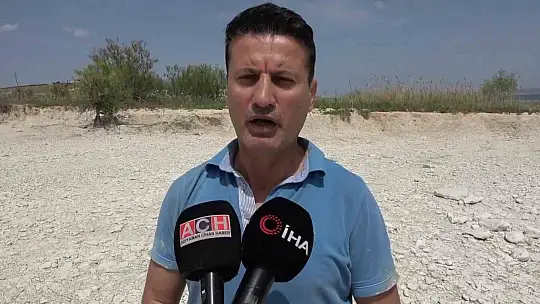 Adıyaman'daki Martı Adası'nda kuluçka dönemi yaşanıyor