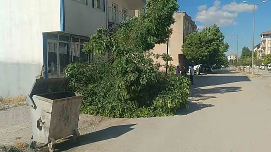 Adıyaman Gölbaşı'nda fırtına etkili oldu