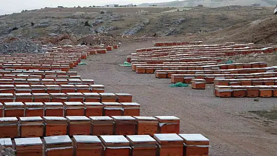 Adıyamanlı arıcılar, 2025 yılı bal fiyatlarını açıkladı