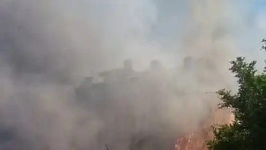 Ağaçlar cayır cayır yandı