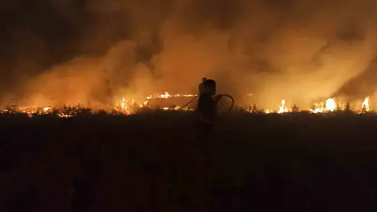 Akçadağ'da bahçe ve sazlık yangını: 25 Kayısı ağacı zarar gördü