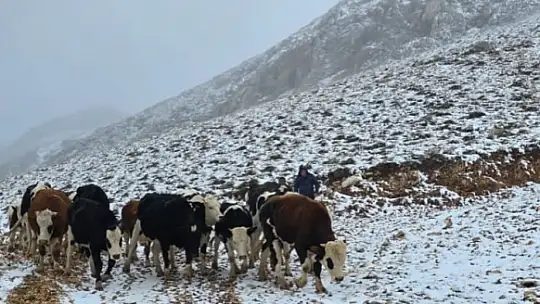 Aniden kar bastırınca yaylada mahsur kalan kadın kurtarıldı