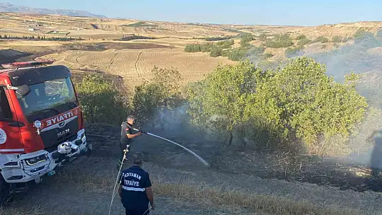 Anız yangını bahçelere sıçradı