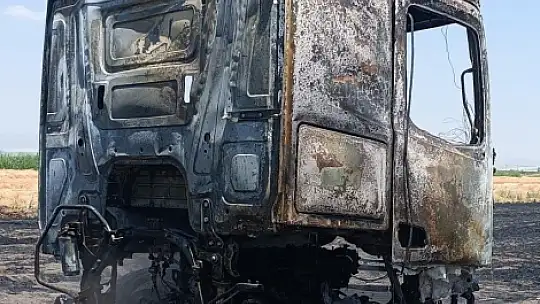Anız yangını milyonluk tırı kül etti