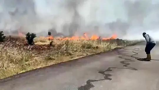 Anız yangını ormanlık alana sıçradı