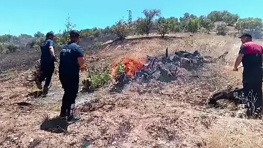 Anız yangını ormanlık alana sıçradı