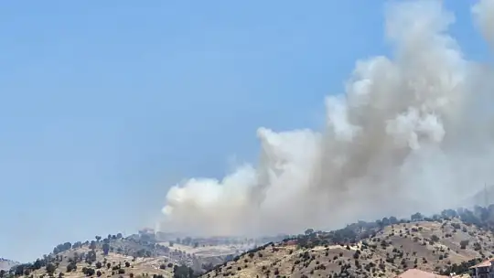Anız yangını ormanlık alana sıçradı