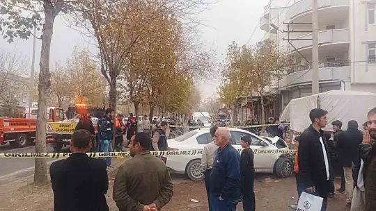 Annenin bebek mutluluğu 15 gün sürdü