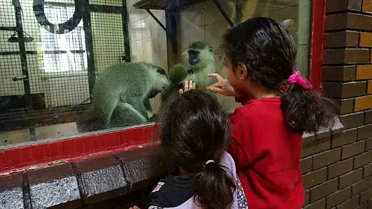 Ara tatile çıkan öğrenciler soluğu hayvanat bahçesinde aldı