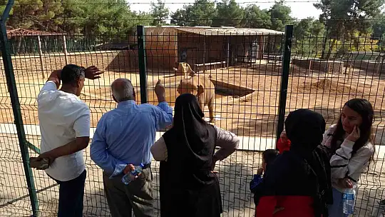 Ara tatile çıkan öğrenciler soluğu hayvanat bahçesinde aldı