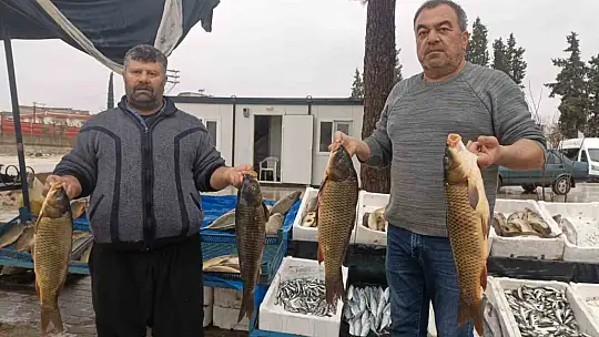 Araban'da soğuk hava balığa talebi artırdı