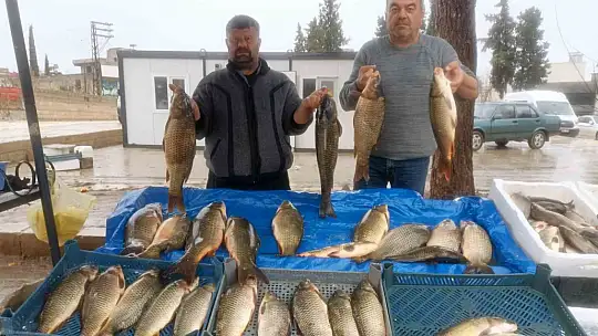 Araban'da soğuk hava balığa talebi artırdı