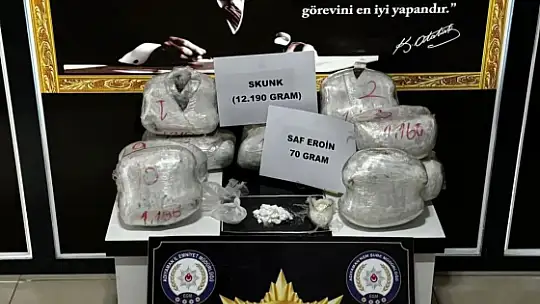 Arama yapılan 2 tırda 12 kilo skunk ele geçirildi
