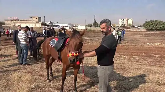 At sevdalıları Adıyaman'da bir araya geldi