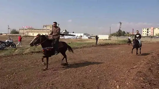 At sevdalıları Adıyaman'da bir araya geldi