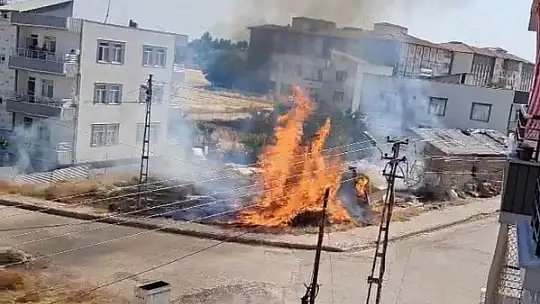 Bahçede yakılan ateş anız yangınına neden oldu