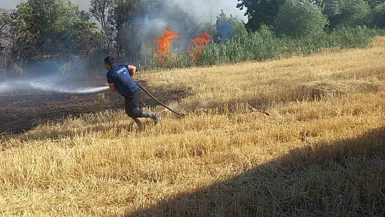Balya makinesinden çıkan kıvılcım 200 dönümü yaktı
